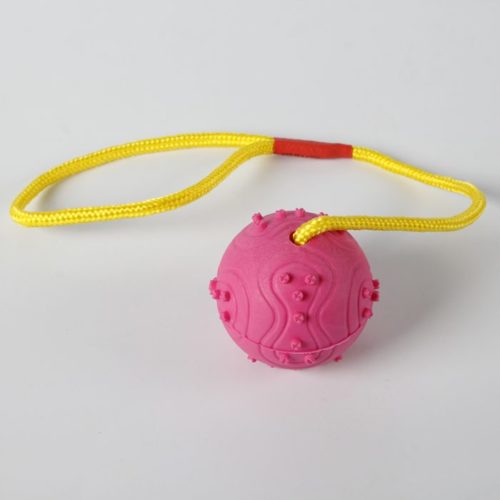 TPE dog toy manufacturer