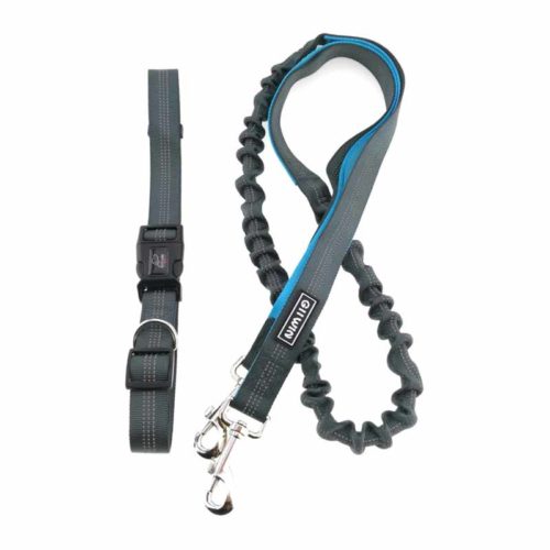 Walking dog kit belt&anti-shock pet dog leash wholesale by manufacturer
