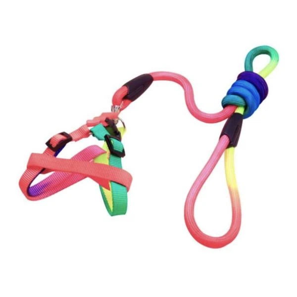 Rainbow dog harness leash set