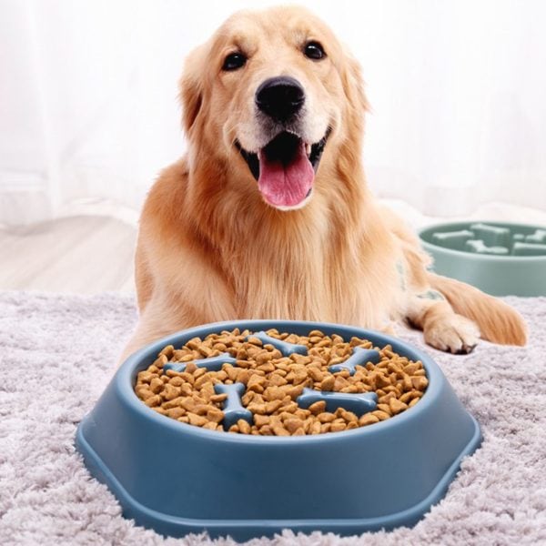 Hexagon Slow feeder pet bowl