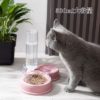 Gravity pet waterer with food bowl