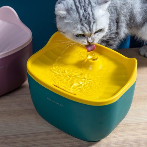 Kitty automatic pet waterer fountain