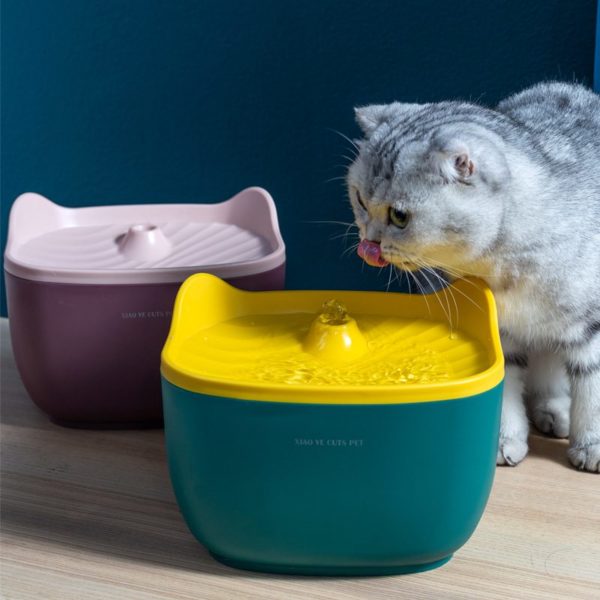 Kitty automatic pet waterer fountain