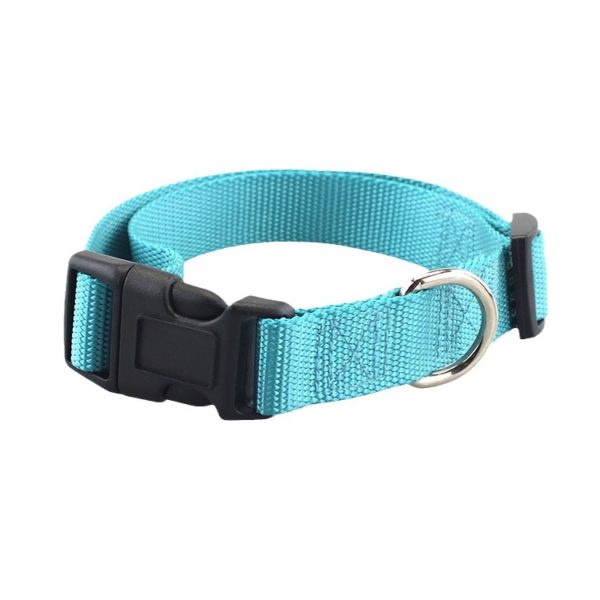 Basic dog collar #DC001