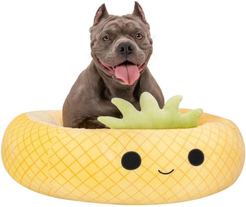 Pineapple squishmallow pet beds