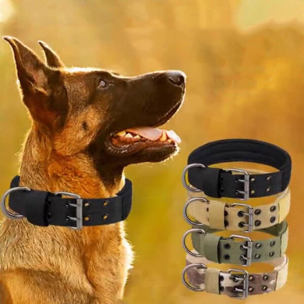 Tactical dog collar display