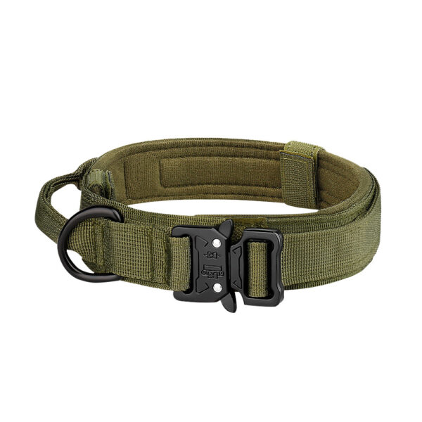 Green tactical dog collar supplier