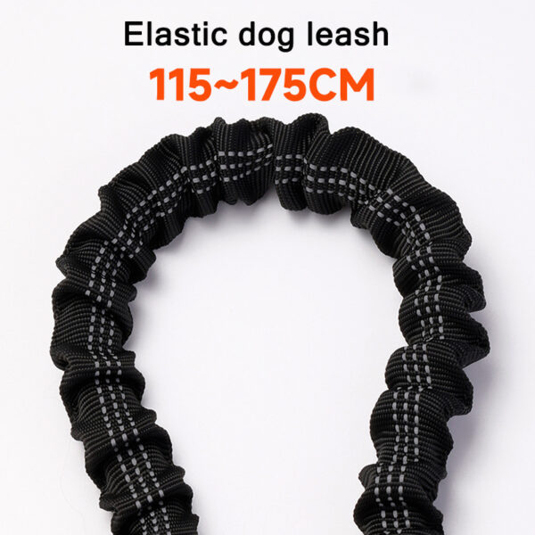 bungee dog leash