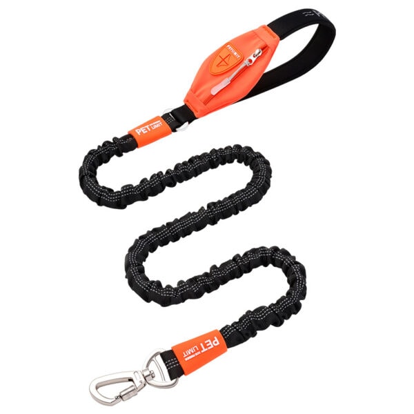 Bungee dog leash manufacturer