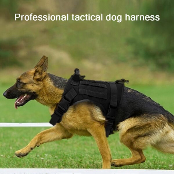 Multifunctional tactical dog harness