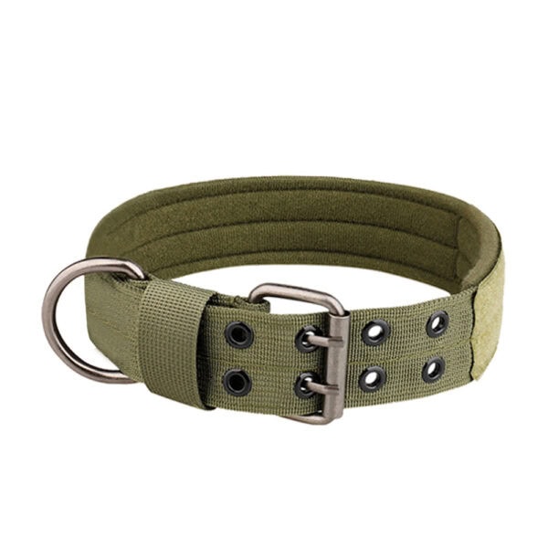 Green tactical dog collar