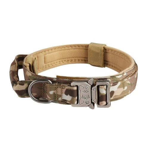 Metal buckle tactical dog collar supplier