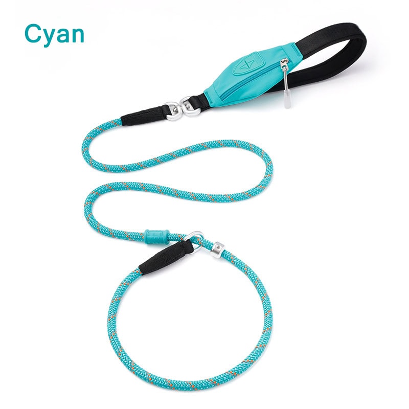 Cyan P-shaped dog collar leash