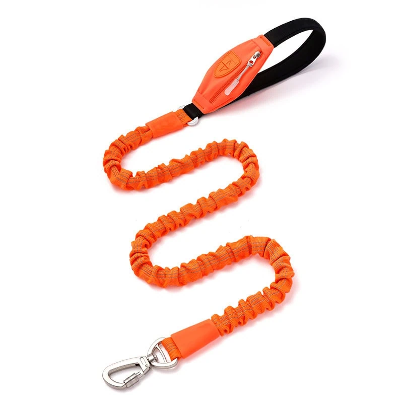 Orange bungee dog leash