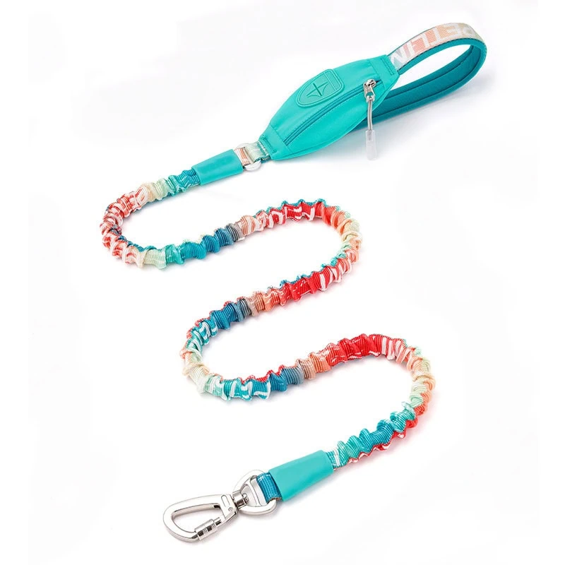 Blue bungee dog leash