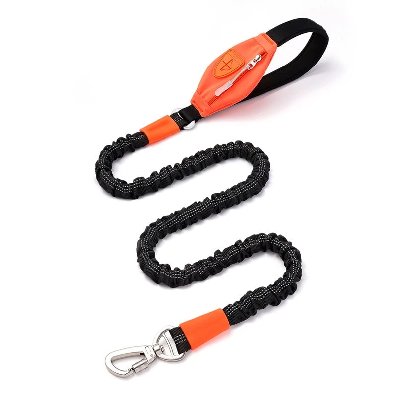 Black bungee dog leash