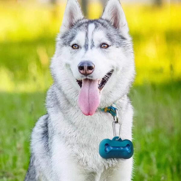 Dog waste bag dispenser usage scenarios