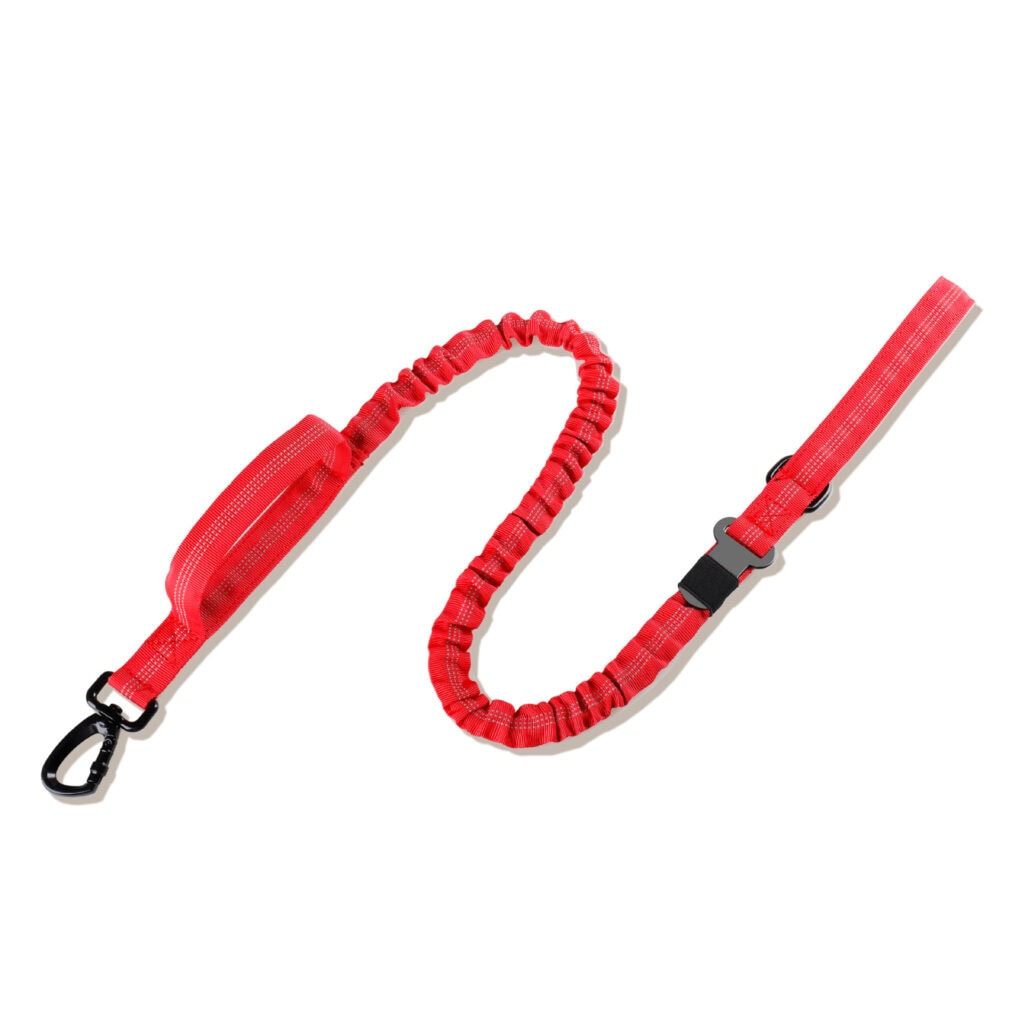 Red car seat belt for dog travel