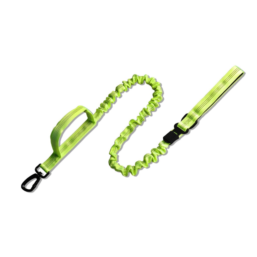 Green car elastic dog leash