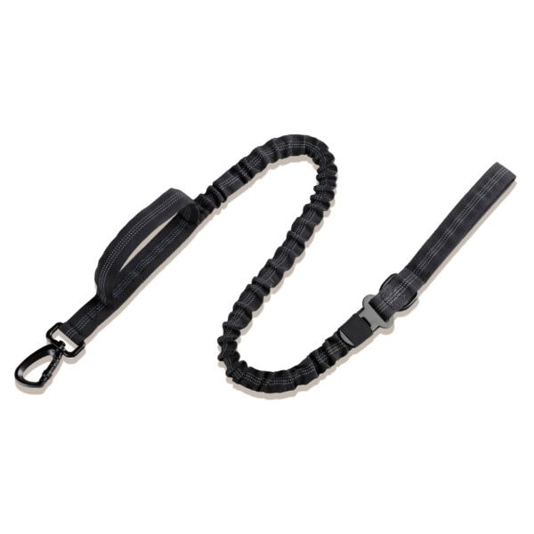 Black car elastic dog leash