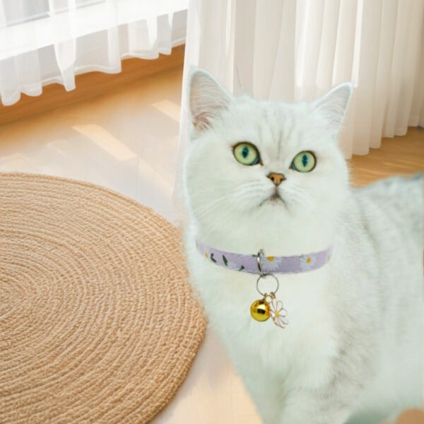 Adjustable cotton cat collar display