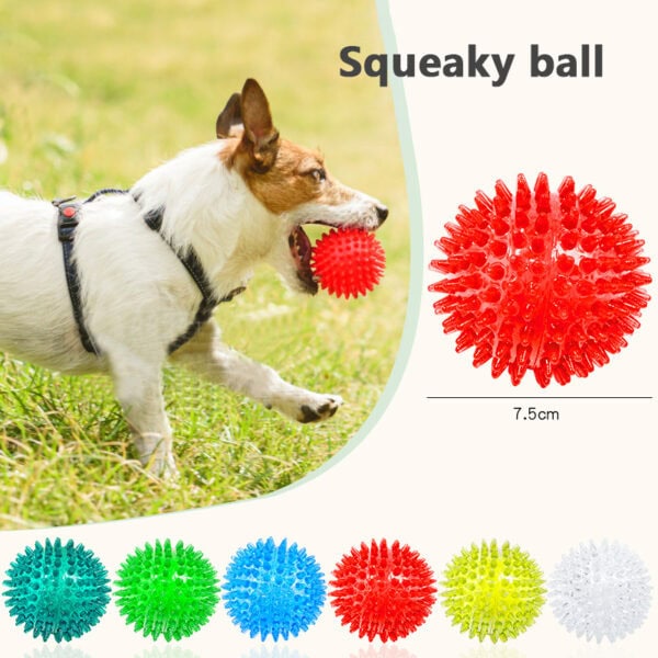 Custom squeaky dog toy balls