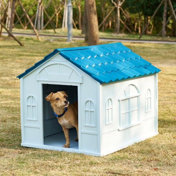 Spacious dog house manufacturer