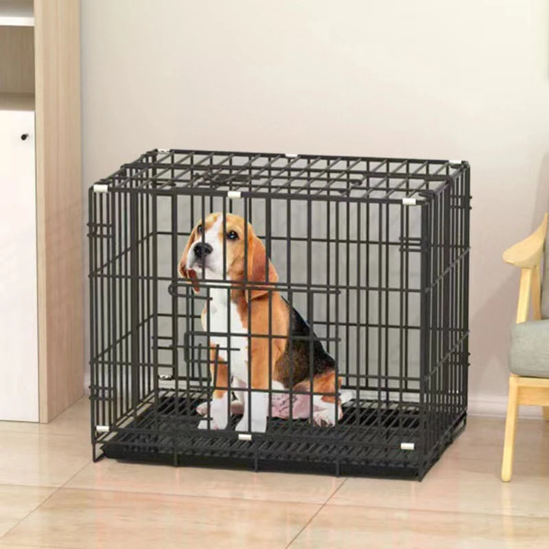 Metal Dog Cage With Tray Supplier