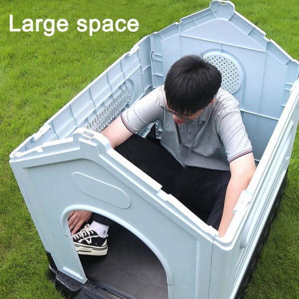 Large space dog kennel factory