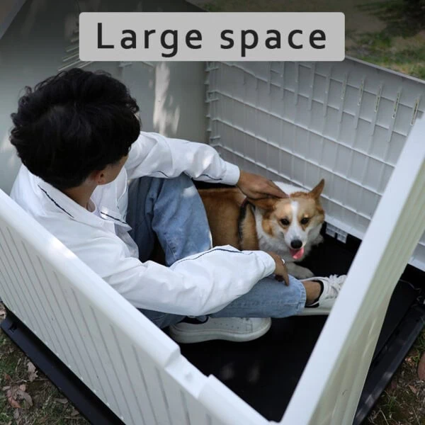 Large space dog kennel factory