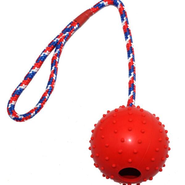 Rubber dog ball with rope supplier