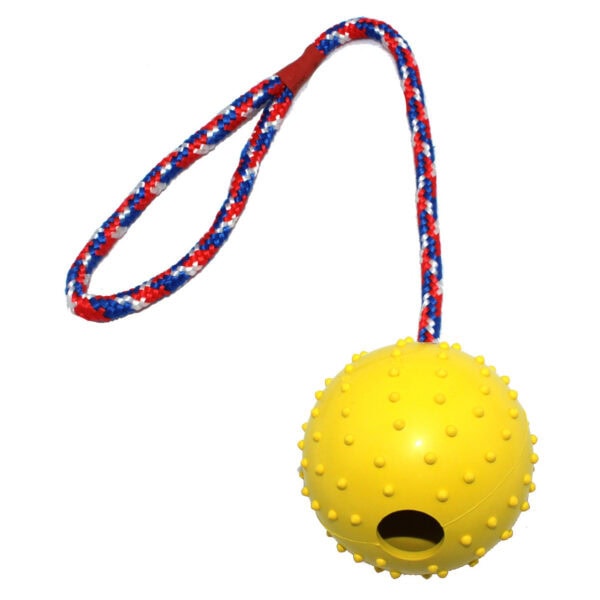 Throwing ball dog toy manufacturer