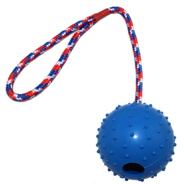 OEM dog ball toy with rope