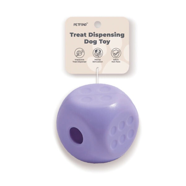 Dice-Shaped Treat Dispensing Dog Toy