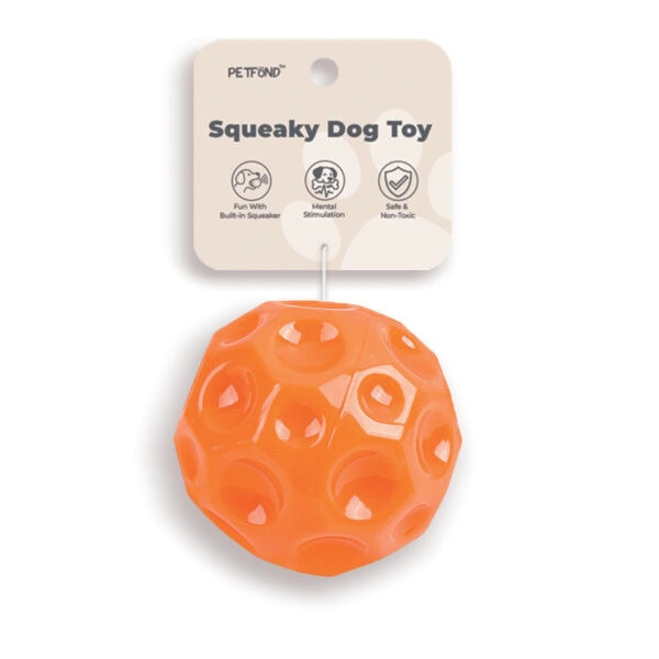TPR Geometric Squeaky Ball Dog Toy