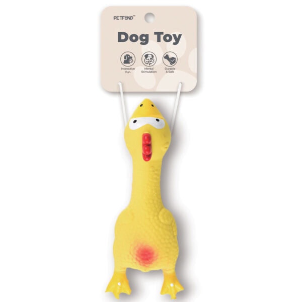Squeaky Latex Laying Chicken Dog Toy