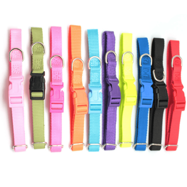 Plain color dog collar