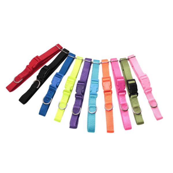 Plain color dog collar
