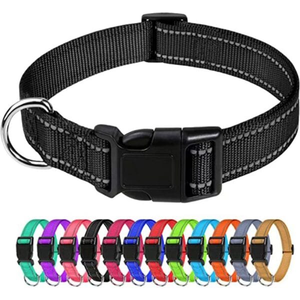 Reflective dog collar