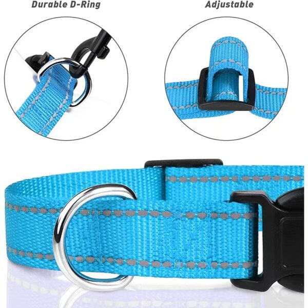 Reflective dog collar