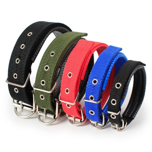 Basic plain color dog collar