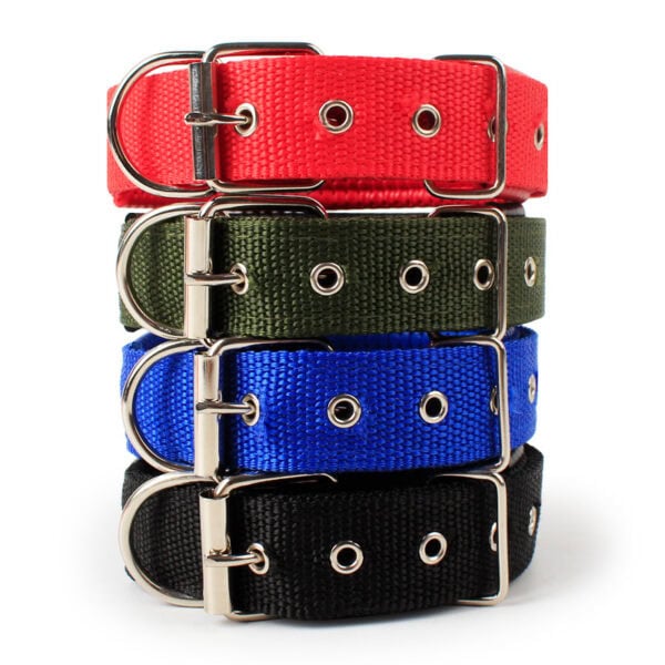 Basic plain color dog collar