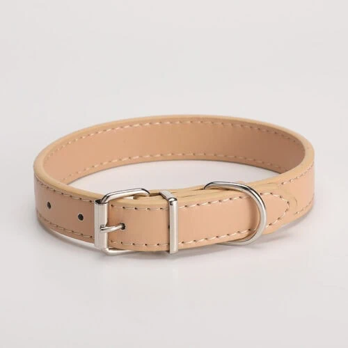 Dog lead collar & harness