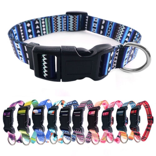 Dog lead collar & harness