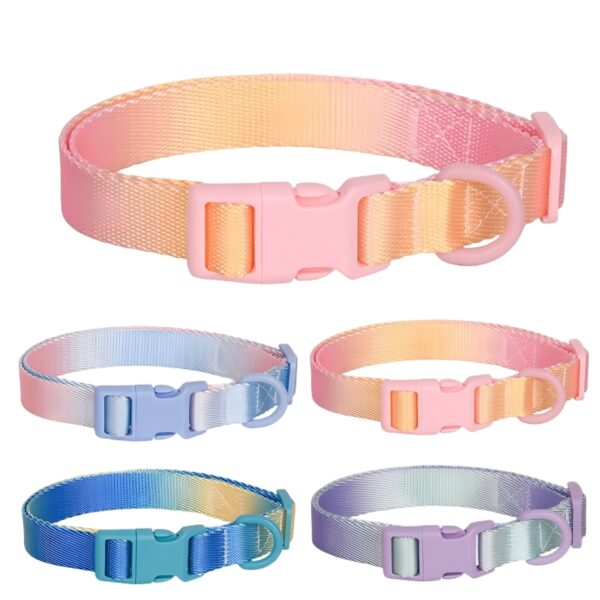 Gradient color dog collar