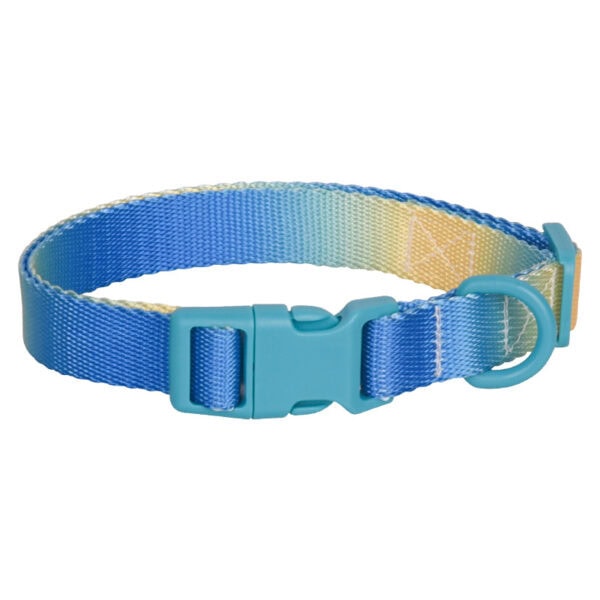 Gradient color dog collar