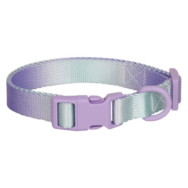Gradient color dog collar