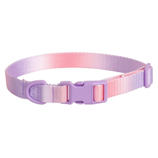 Gradient color dog collar