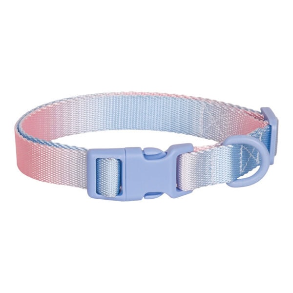 Gradient color dog collar