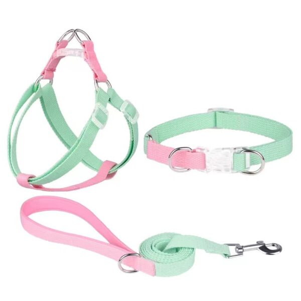 Dual dog collar